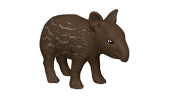 Tapir